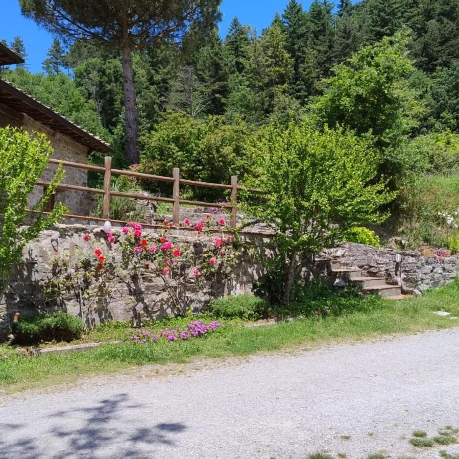 Fattoria Di Cintoia Villa Pontassieve Bagian luar foto