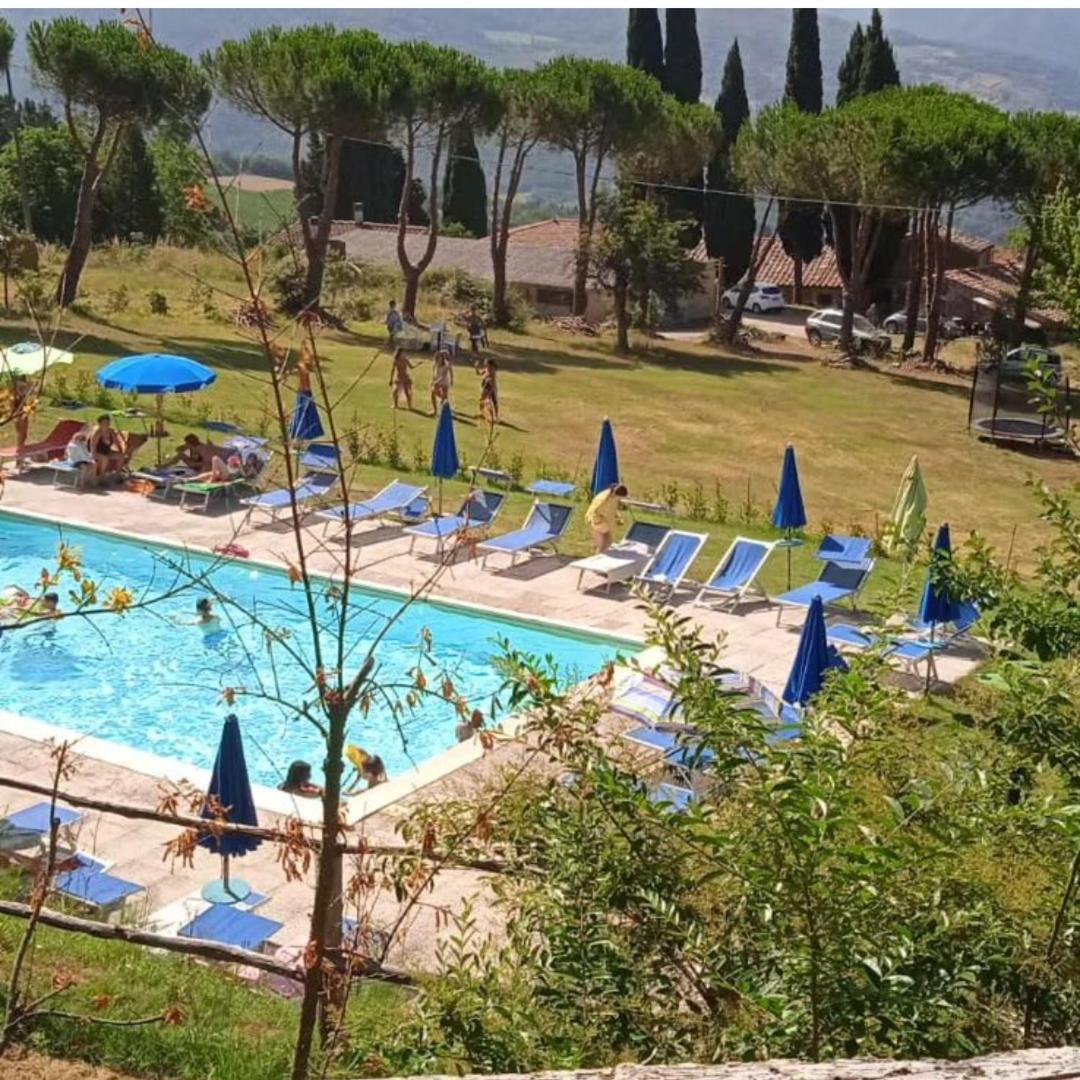 Fattoria Di Cintoia Villa Pontassieve Bagian luar foto
