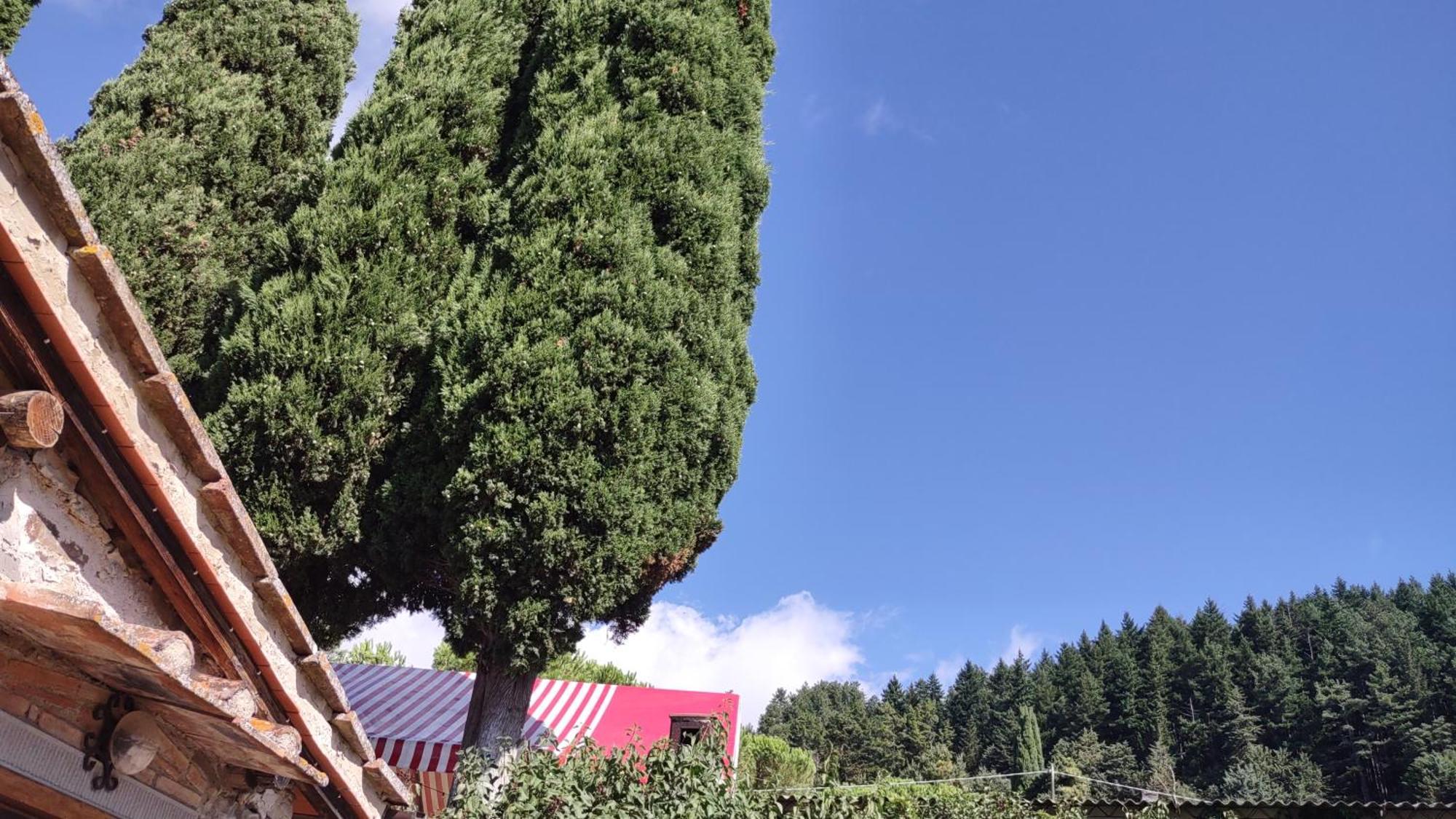 Fattoria Di Cintoia Villa Pontassieve Bagian luar foto