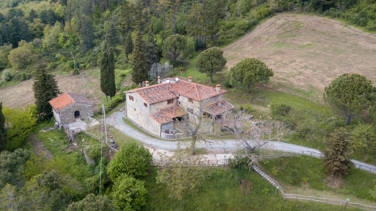 Fattoria Di Cintoia Villa Pontassieve Bagian luar foto