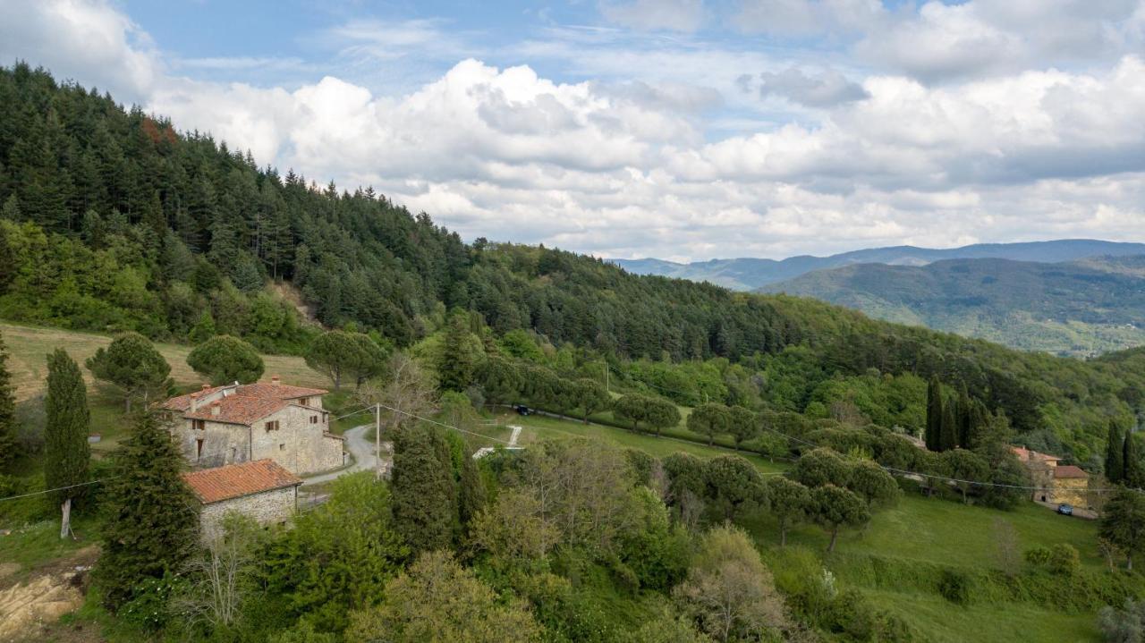 Fattoria Di Cintoia Villa Pontassieve Bagian luar foto
