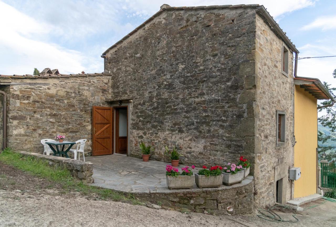 Fattoria Di Cintoia Villa Pontassieve Bagian luar foto