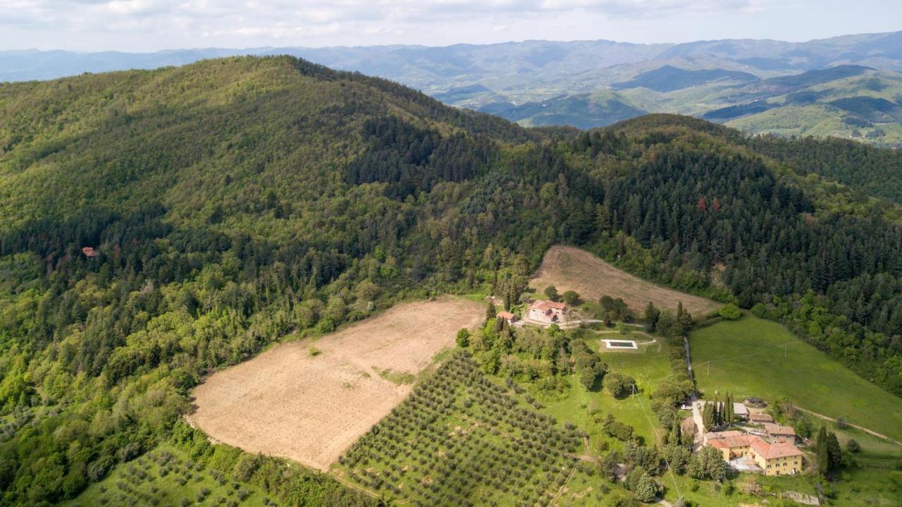 Fattoria Di Cintoia Villa Pontassieve Bagian luar foto